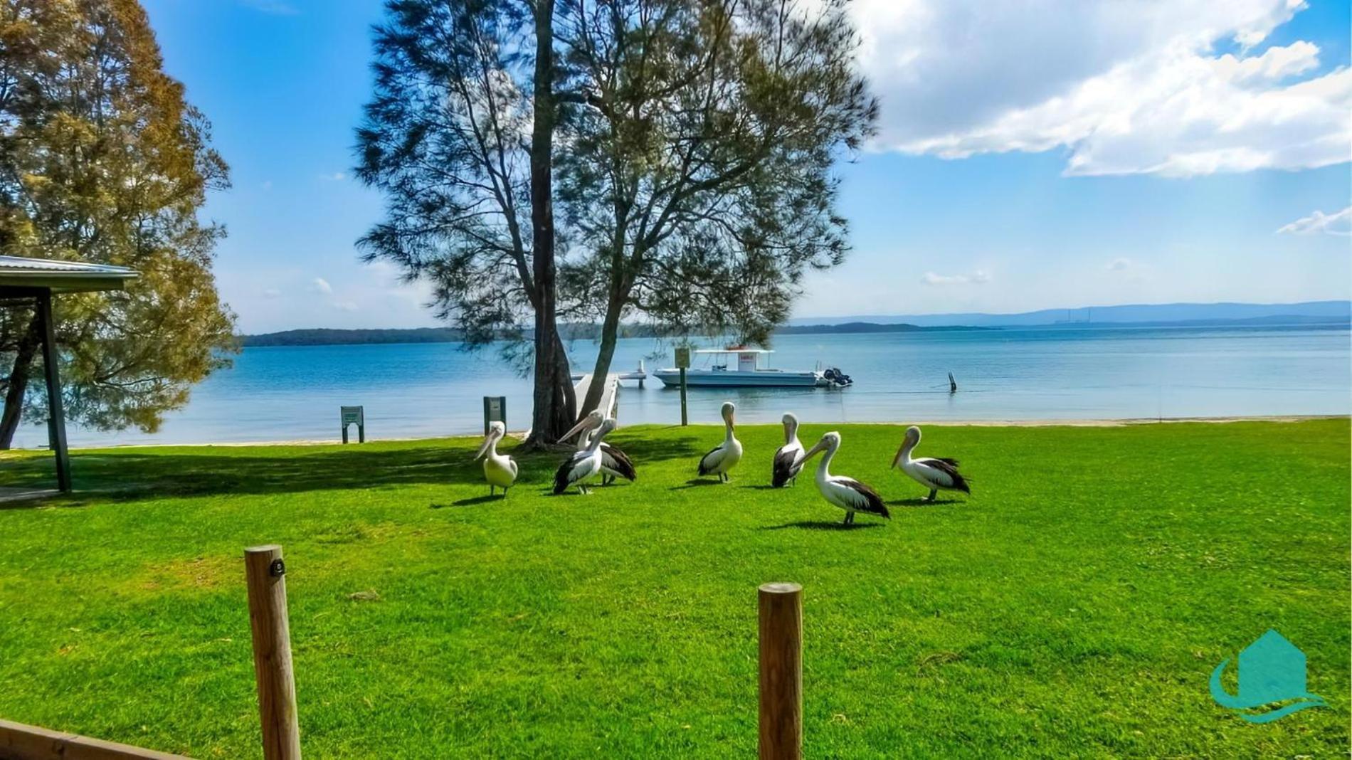Oystercatcher At Raffertys Resort- Family